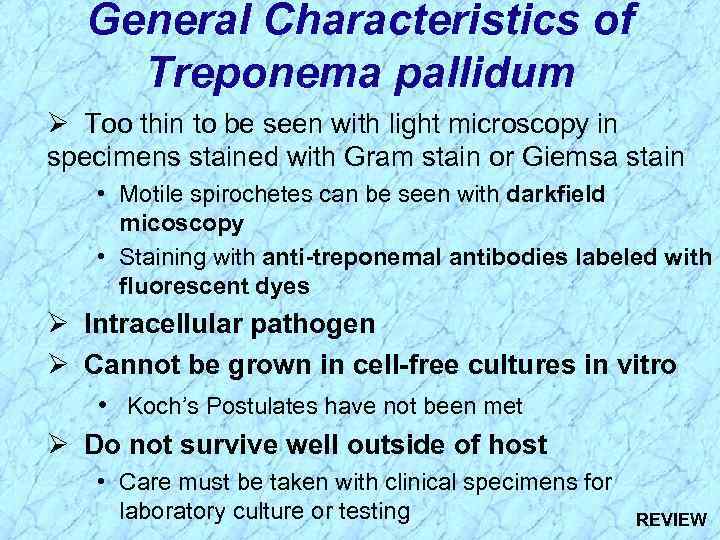 General Characteristics of Treponema pallidum Ø Too thin to be seen with light microscopy