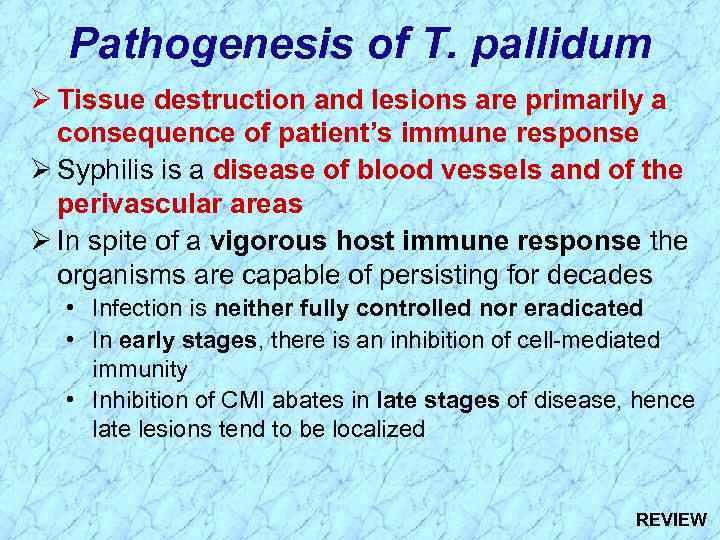 Pathogenesis of T. pallidum Ø Tissue destruction and lesions are primarily a consequence of