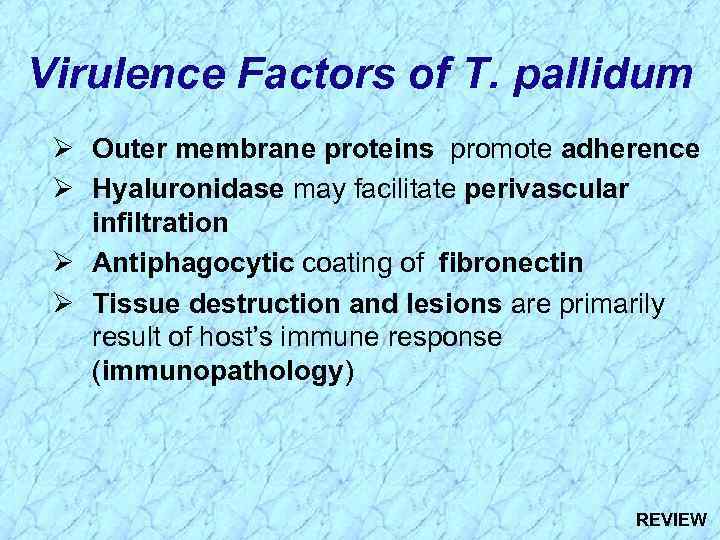 Virulence Factors of T. pallidum Ø Outer membrane proteins promote adherence Ø Hyaluronidase may