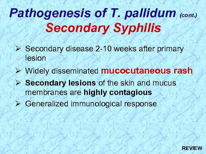 Pathogenesis of T. pallidum (cont. ) Secondary Syphilis Ø Secondary disease 2 -10 weeks