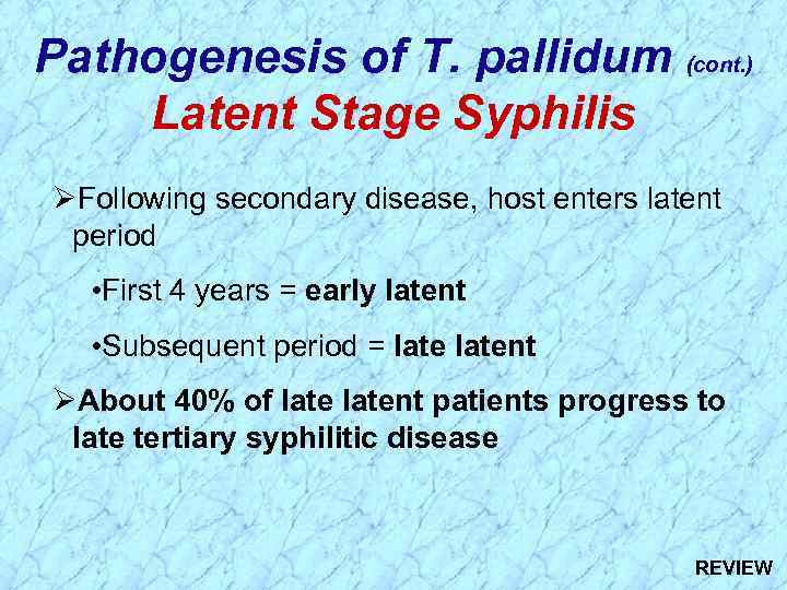 Pathogenesis of T. pallidum (cont. ) Latent Stage Syphilis ØFollowing secondary disease, host enters