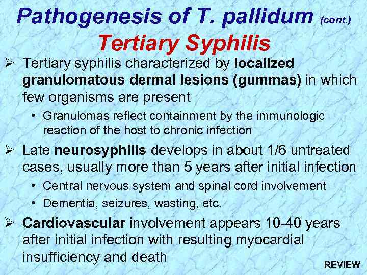 Pathogenesis of T. pallidum (cont. ) Tertiary Syphilis Ø Tertiary syphilis characterized by localized