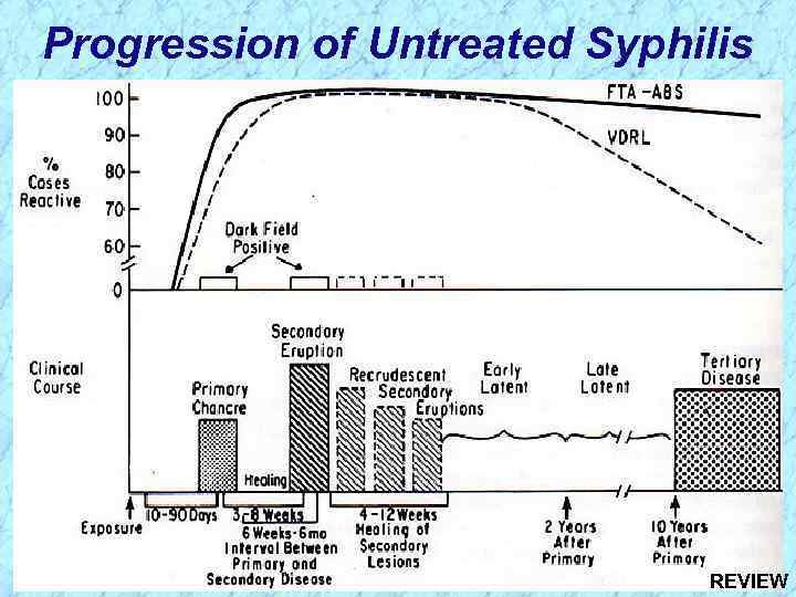 Progression of Untreated Syphilis REVIEW 