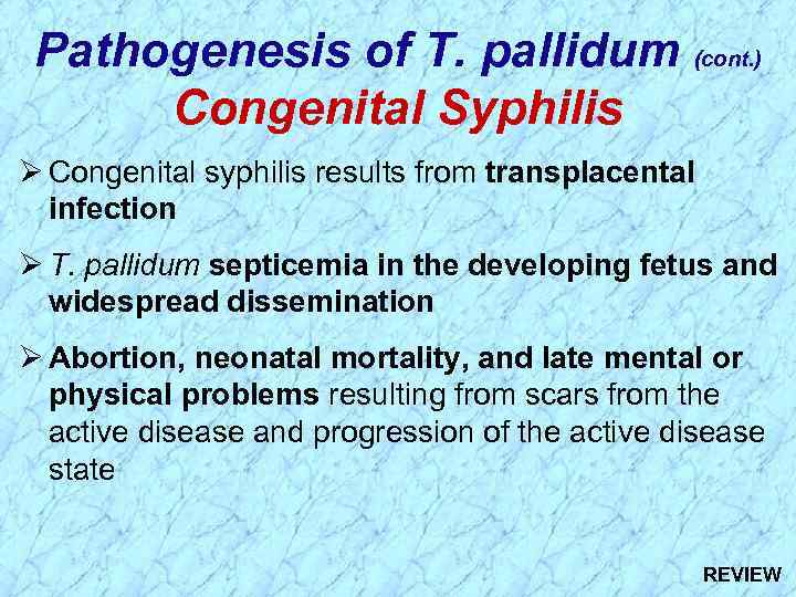 Pathogenesis of T. pallidum (cont. ) Congenital Syphilis Ø Congenital syphilis results from transplacental