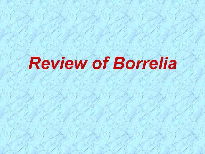 Review of Borrelia 