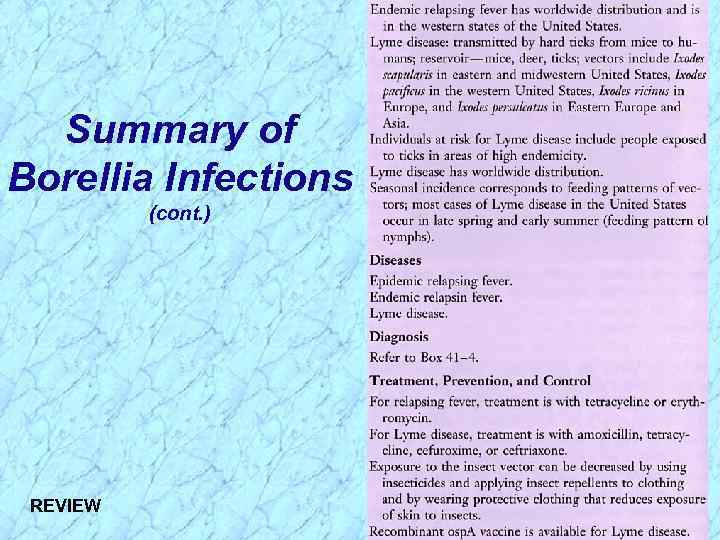 Summary of Borellia Infections (cont. ) REVIEW 