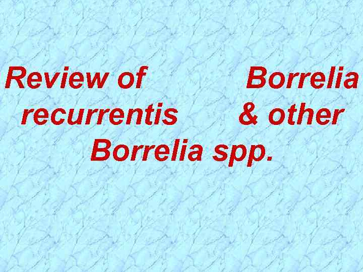 Review of Borrelia recurrentis & other Borrelia spp. 