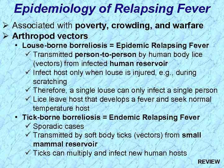 Epidemiology of Relapsing Fever Ø Associated with poverty, crowding, and warfare Ø Arthropod vectors