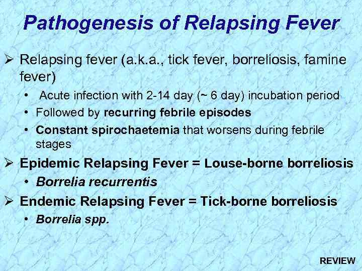 Pathogenesis of Relapsing Fever Ø Relapsing fever (a. k. a. , tick fever, borreliosis,