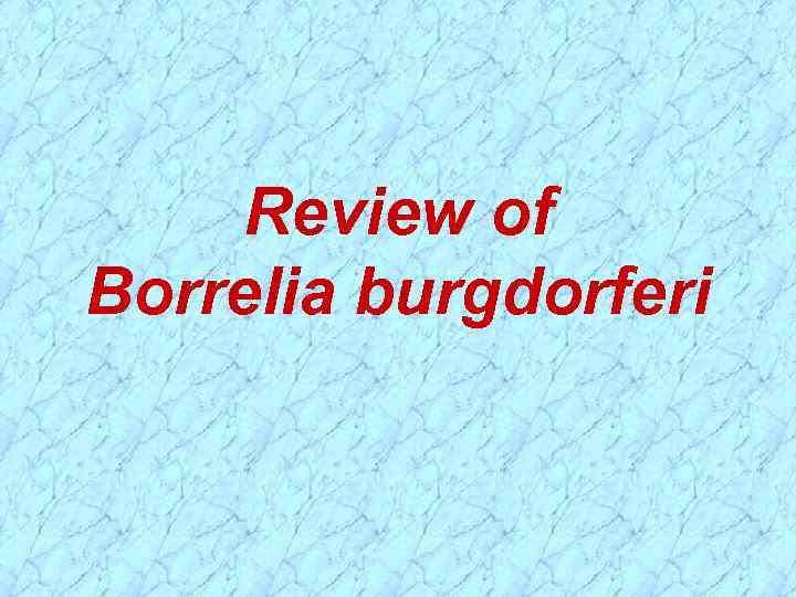 Review of Borrelia burgdorferi 