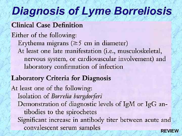 Diagnosis of Lyme Borreliosis REVIEW 