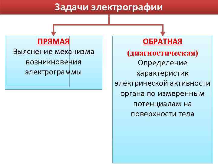 Задачи электрографии ПРЯМАЯ Выяснение механизма возникновения электрограммы ОБРАТНАЯ (диагностическая) Определение характеристик электрической активности органа