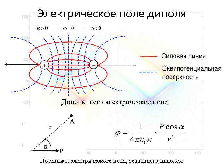 Эквипотенциальные поверхности электрического поля диполя представлены на рисунке