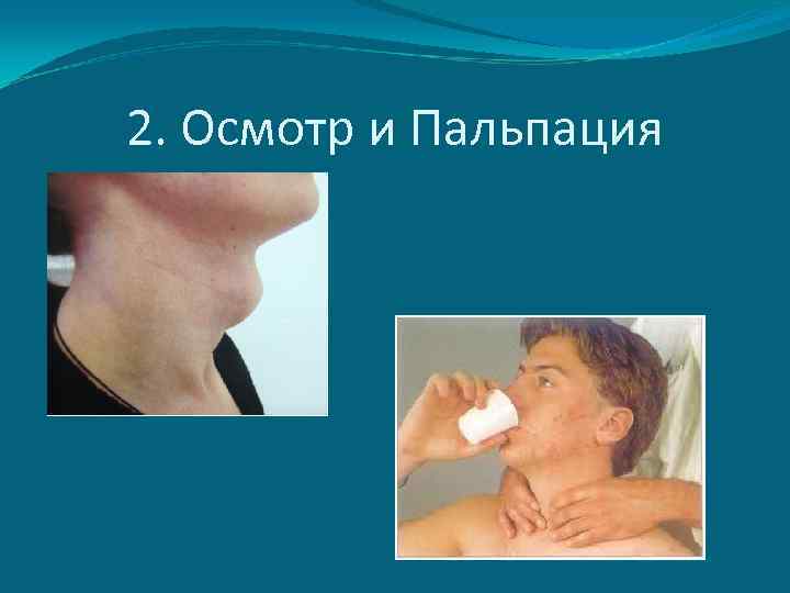 2. Осмотр и Пальпация 