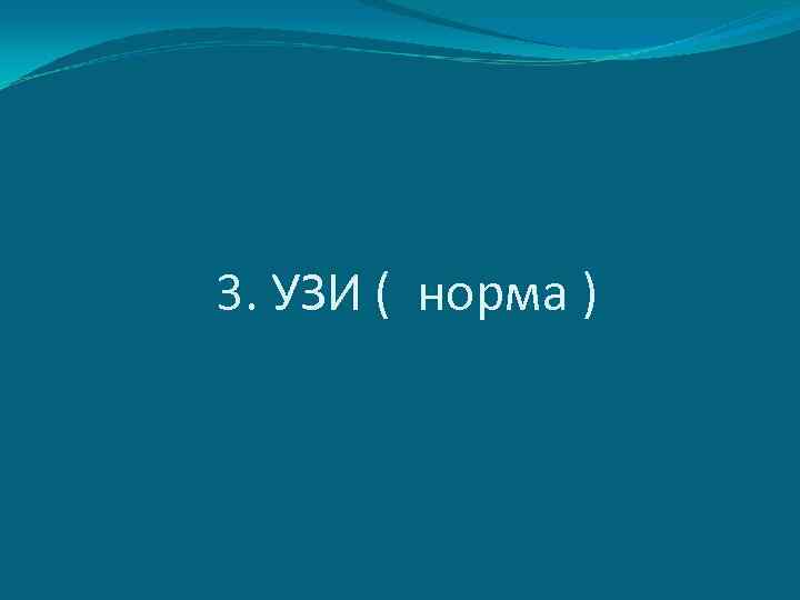 3. УЗИ ( норма ) 