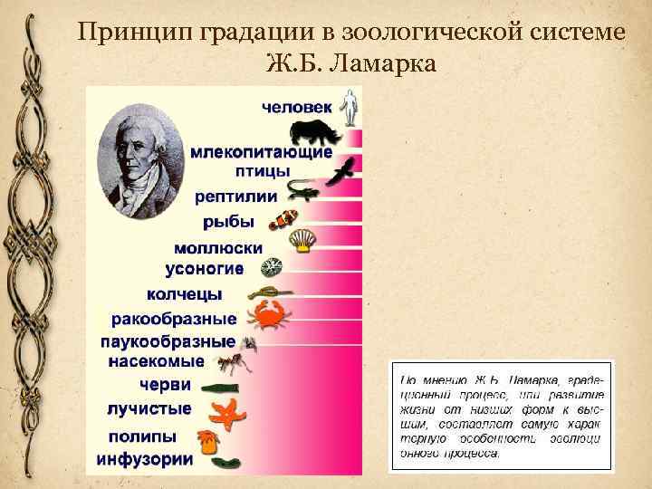 Реферат: Ламарк Жан Батист Пьер Антуан де Моне