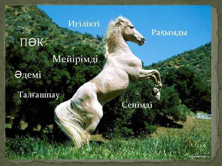 Игілікті ПӘК Рақымды Мейірімді Әдемі Талғашпау Сенімді 