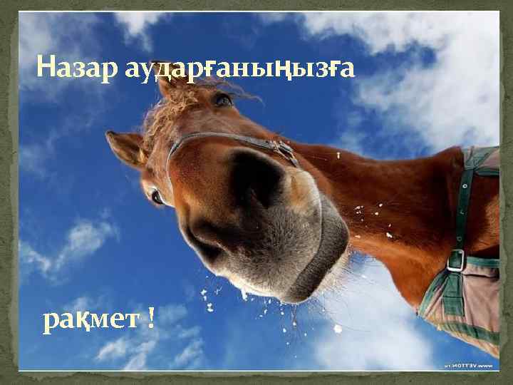 Назар аударғаныңызға рақмет ! 