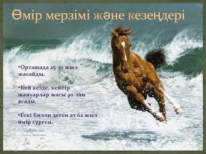 Өмір мерзімі және кезеңдері • Орташада 25 -30 жыл жасайды. • Кей кезде, кейбір