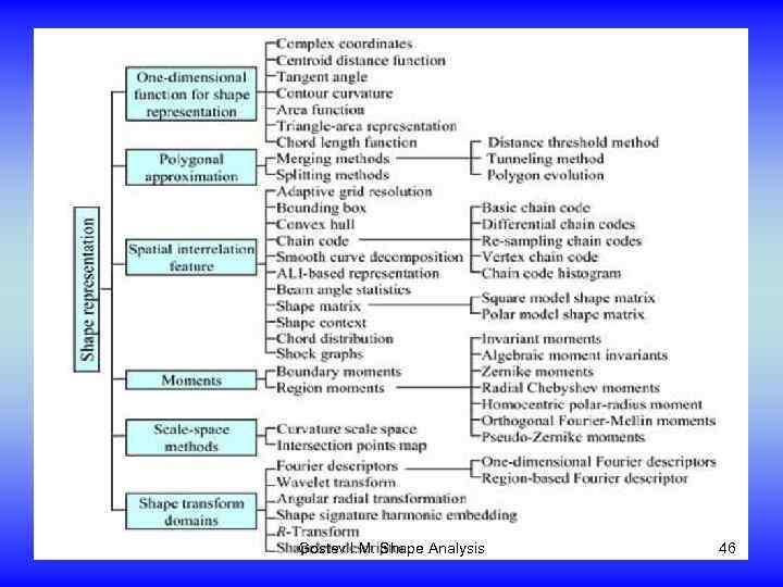Gostev I. M. Shape Analysis 46 