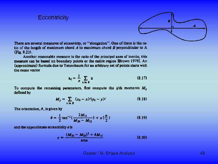 Eccentricity Gostev I. M. Shape Analysis 49 