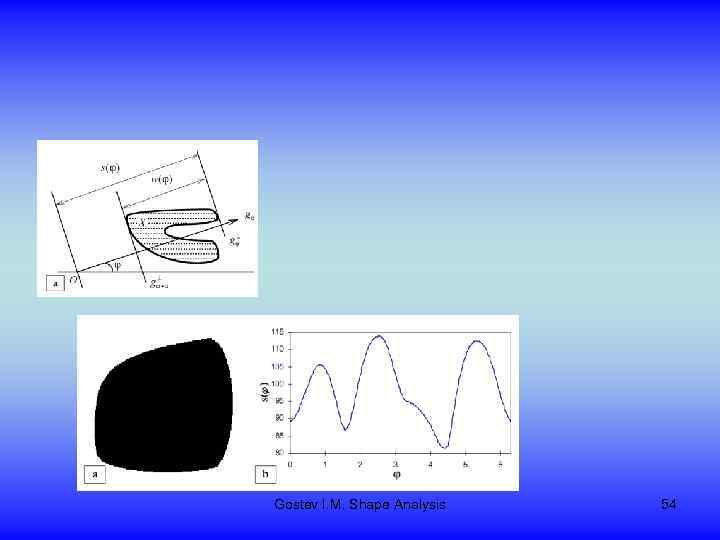 Gostev I. M. Shape Analysis 54 