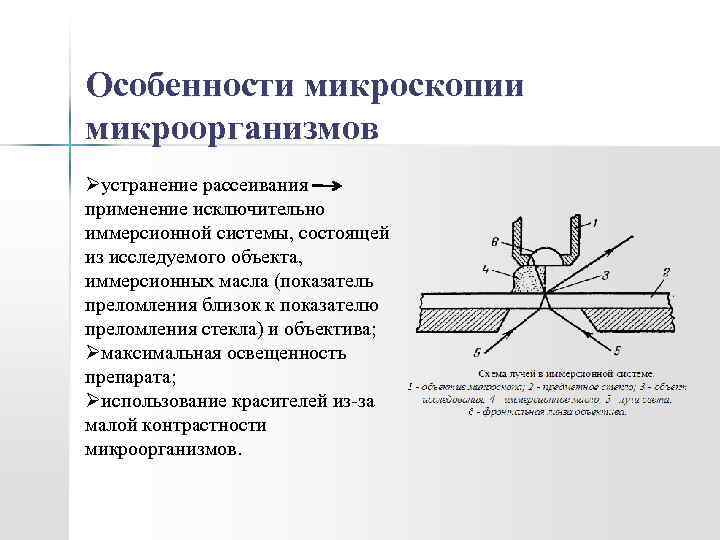 Иммерсионная микроскопия