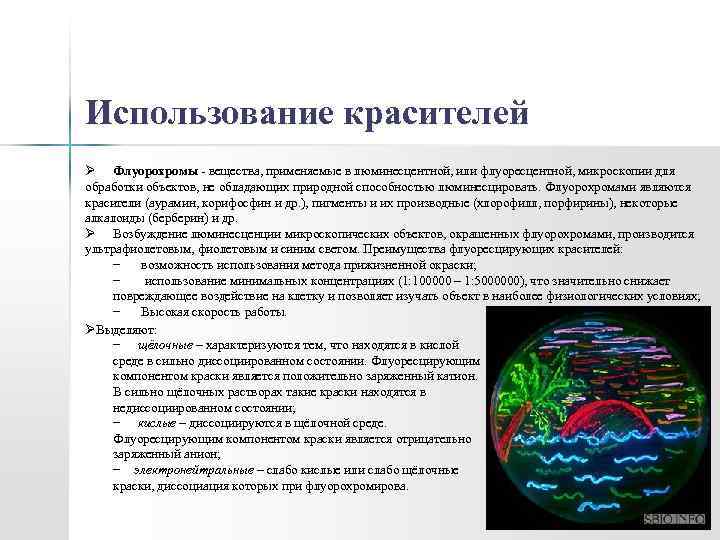 Использование красителей Ø Флуорохромы - вещества, применяемые в люминесцентной, или флуоресцентной, микроскопии для обработки