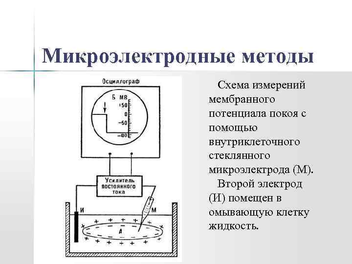 Микроэлектродные методы Схема измерений мембранного потенциала покоя с помощью внутриклеточного стеклянного микроэлектрода (М). Второй