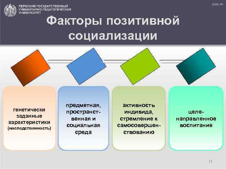 Факторы позитивной социализации генетически заданные характеристики (наследственность) предметная, пространственная и социальная среда активность индивида,