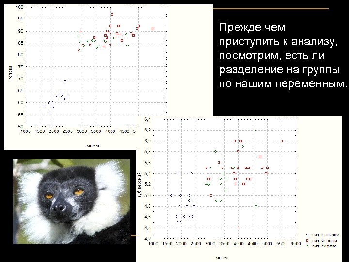 Прежде чем приступить к анализу, посмотрим, есть ли разделение на группы по нашим переменным.