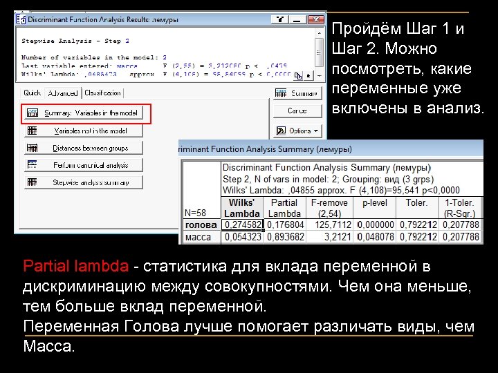 Пройдём Шаг 1 и Шаг 2. Можно посмотреть, какие переменные уже включены в анализ.