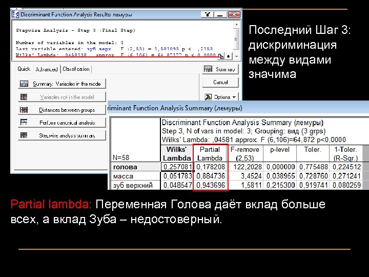 Последний Шаг 3: дискриминация между видами значима Partial lambda: Переменная Голова даёт вклад больше