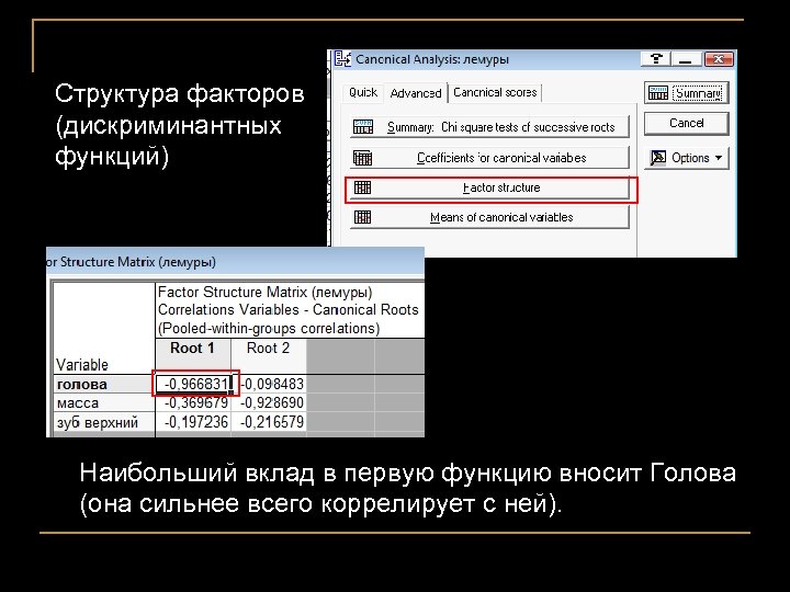 Структура факторов (дискриминантных функций) Наибольший вклад в первую функцию вносит Голова (она сильнее всего