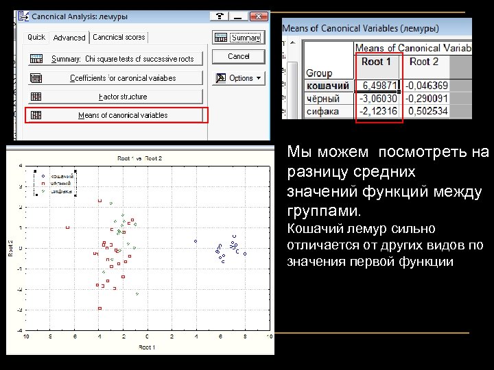 Мы можем посмотреть на разницу средних значений функций между группами. Кошачий лемур сильно отличается