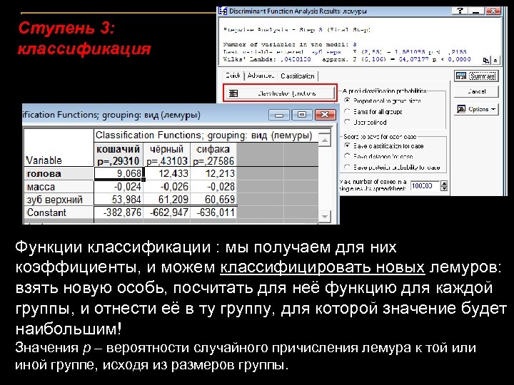 Ступень 3: классификация Функции классификации : мы получаем для них коэффициенты, и можем классифицировать