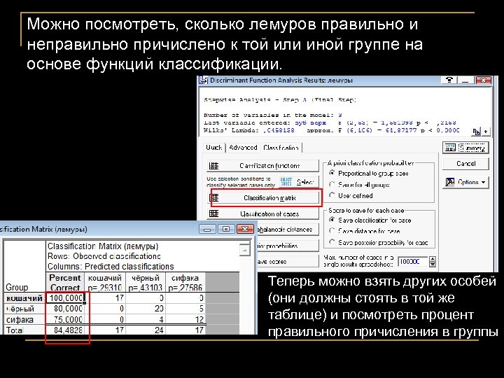 Можно посмотреть, сколько лемуров правильно и неправильно причислено к той или иной группе на