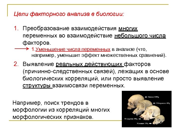 Цели факторного анализа в биологии: 1. Преобразование взаимодействия многих переменных во взаимодействие небольшого числа