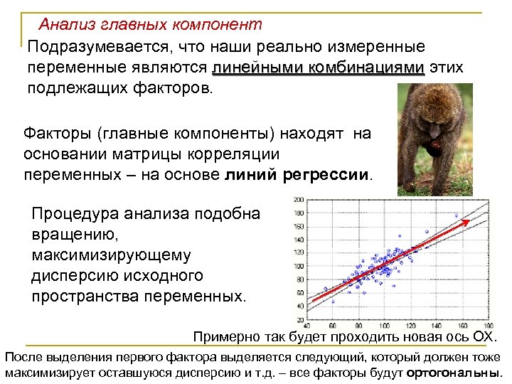 Анализ главных компонент Подразумевается, что наши реально измеренные переменные являются линейными комбинациями этих подлежащих