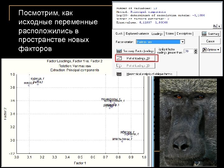 Посмотрим, как исходные переменные расположились в пространстве новых факторов 