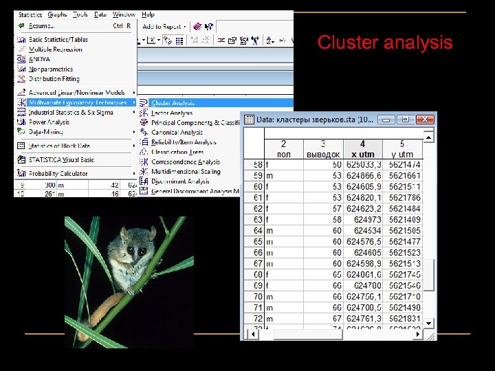 Cluster analysis 