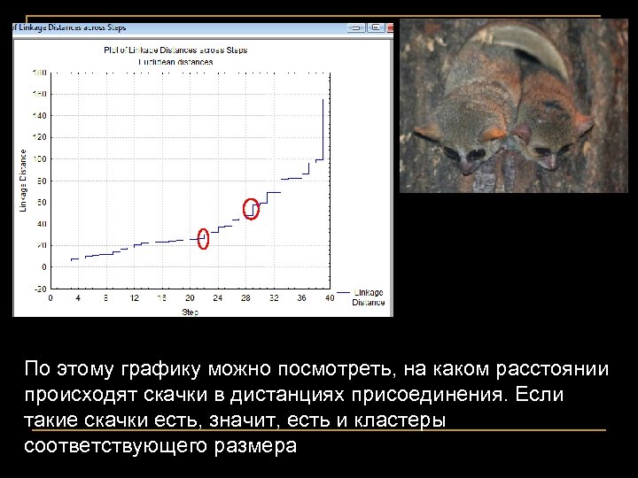 По этому графику можно посмотреть, на каком расстоянии происходят скачки в дистанциях присоединения. Если