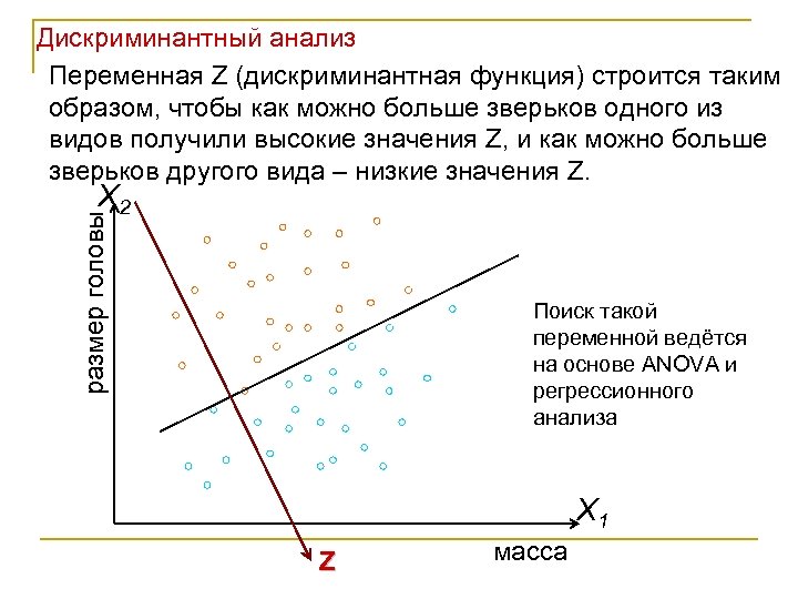 Дискриминантный анализ Переменная Z (дискриминантная функция) строится таким образом, чтобы как можно больше зверьков