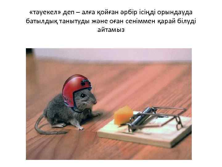  «тәуекел» деп – алға қойған әрбір ісіңді орындауда батылдық танытуды және оған сеніммен