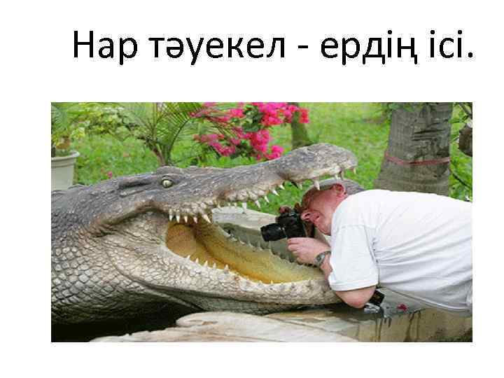  Нар тәуекел - ердің ісі. 