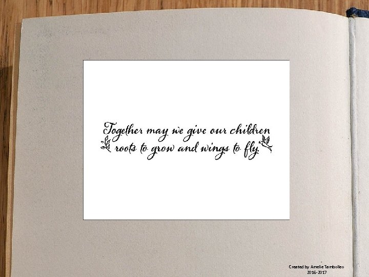  Created by Amelie Tambolleo 2016 -2017 