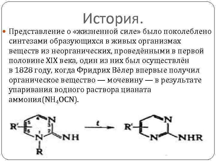 История. Представление о «жизненной силе» было поколеблено синтезами образующихся в живых организмах веществ из