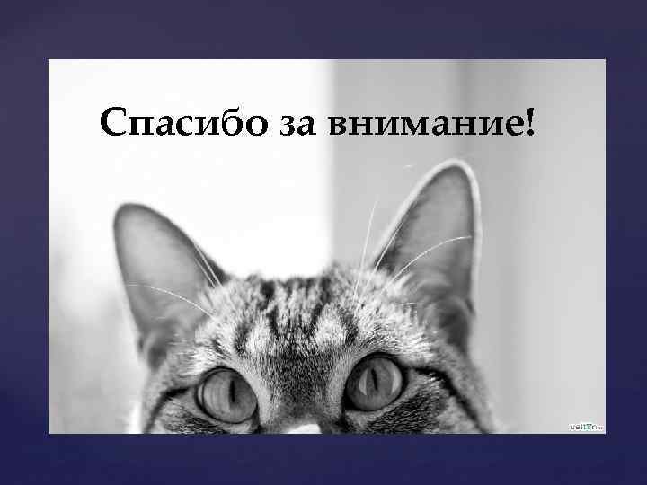 Спасибо за внимание! 
