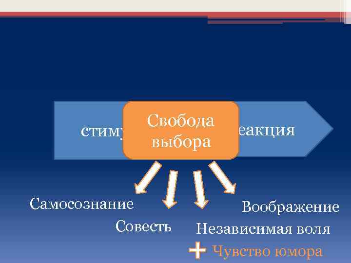 Свобода реакция стимул выбора Самосознание Совесть Воображение Независимая воля Чувство юмора 