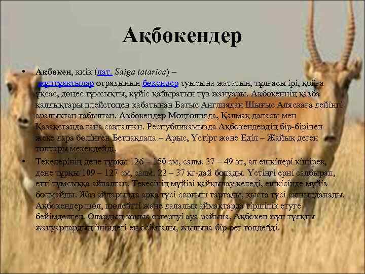 Ақбөкендер • • Ақбөкен, киік (лат. Saiga tatarica) – жұптұяқтылар отрядының бөкендер туысына жататын,